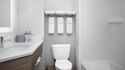 holiday-inn-express-washington-dc-bw-parkway-bathroom
