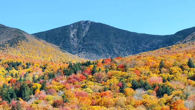 white-mountain-national-forest-drive-experience