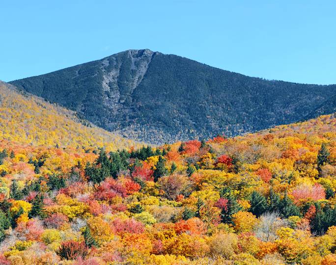 white-mountain-national-forest-drive-experience