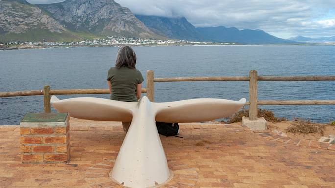 explore-hermanus-experience