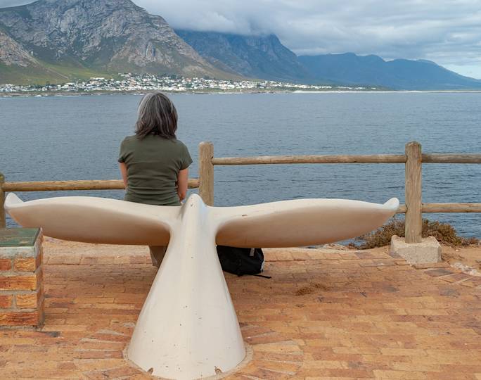 explore-hermanus-experience