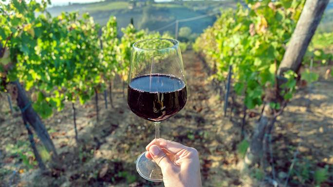 tuscan-wine-tasting-experience