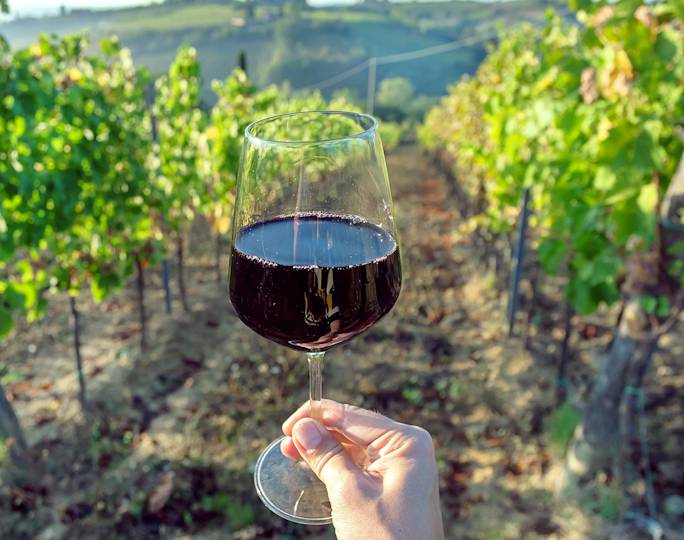 tuscan-wine-tasting-experience