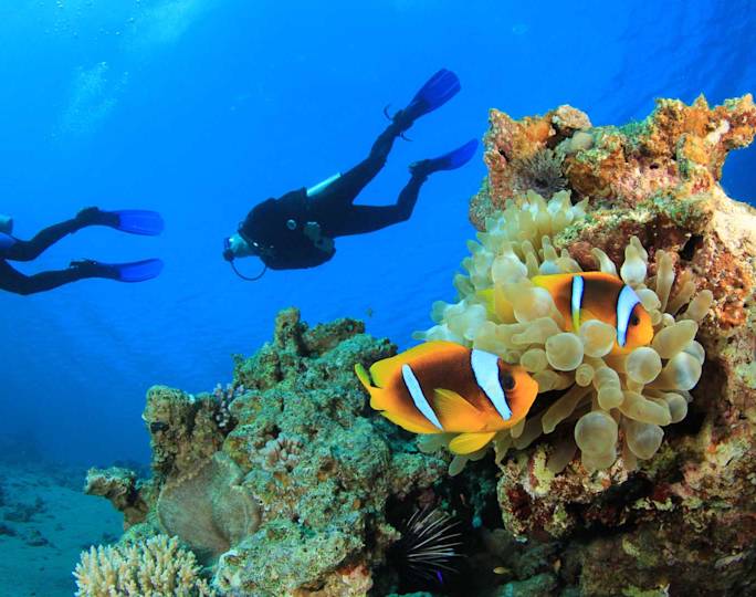 scuba-diving-red-sea-egypt-optional-excursion
