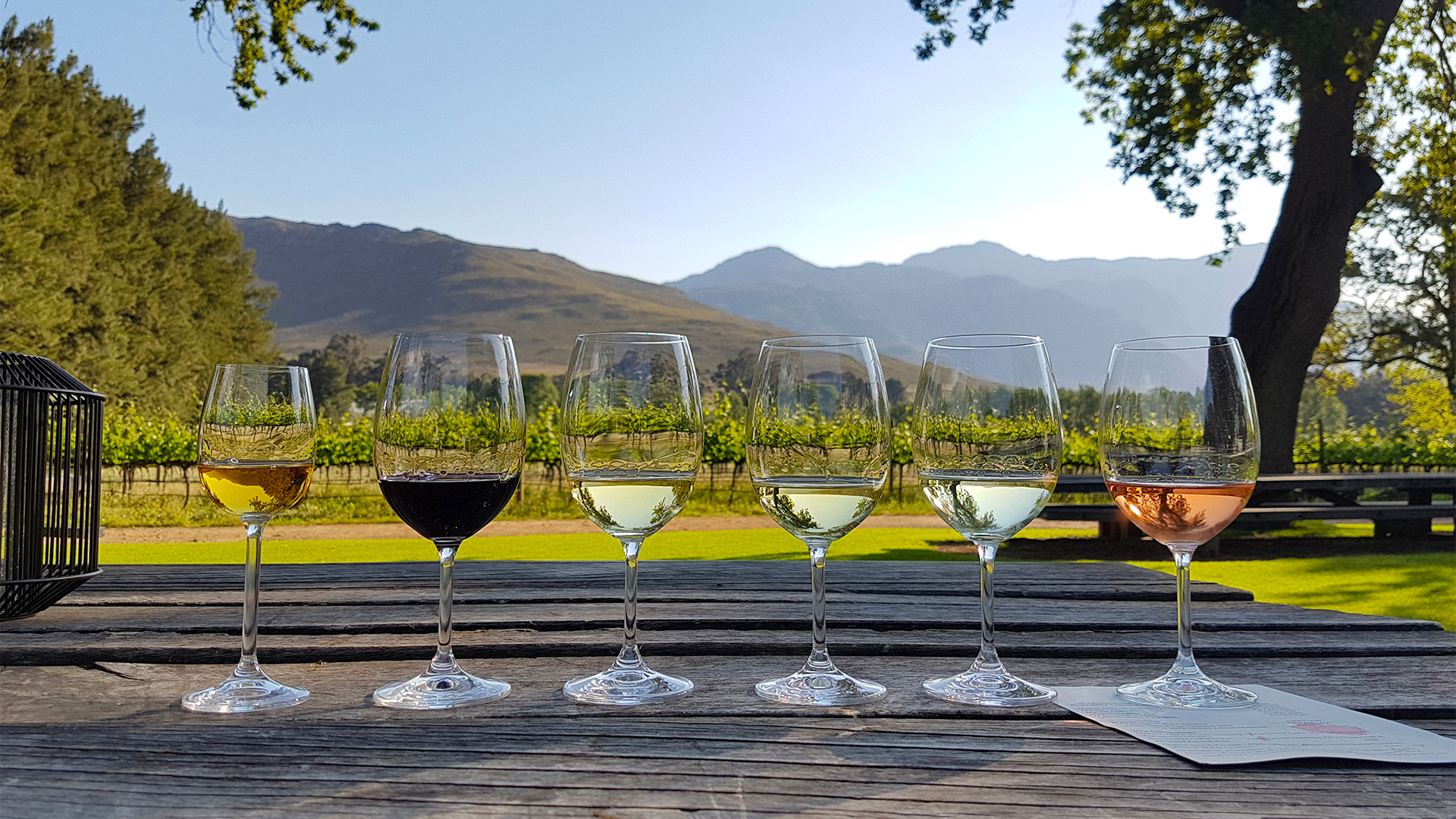 wine-tasting-south-africa-swiper-hero-gallery