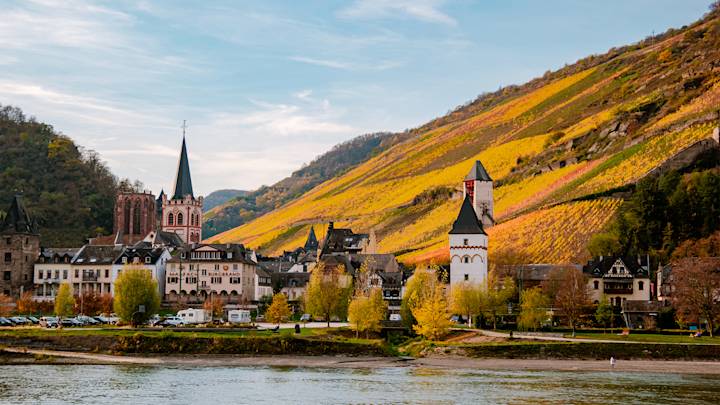 river-cruise-view-from-river-swiper-hero-gallery