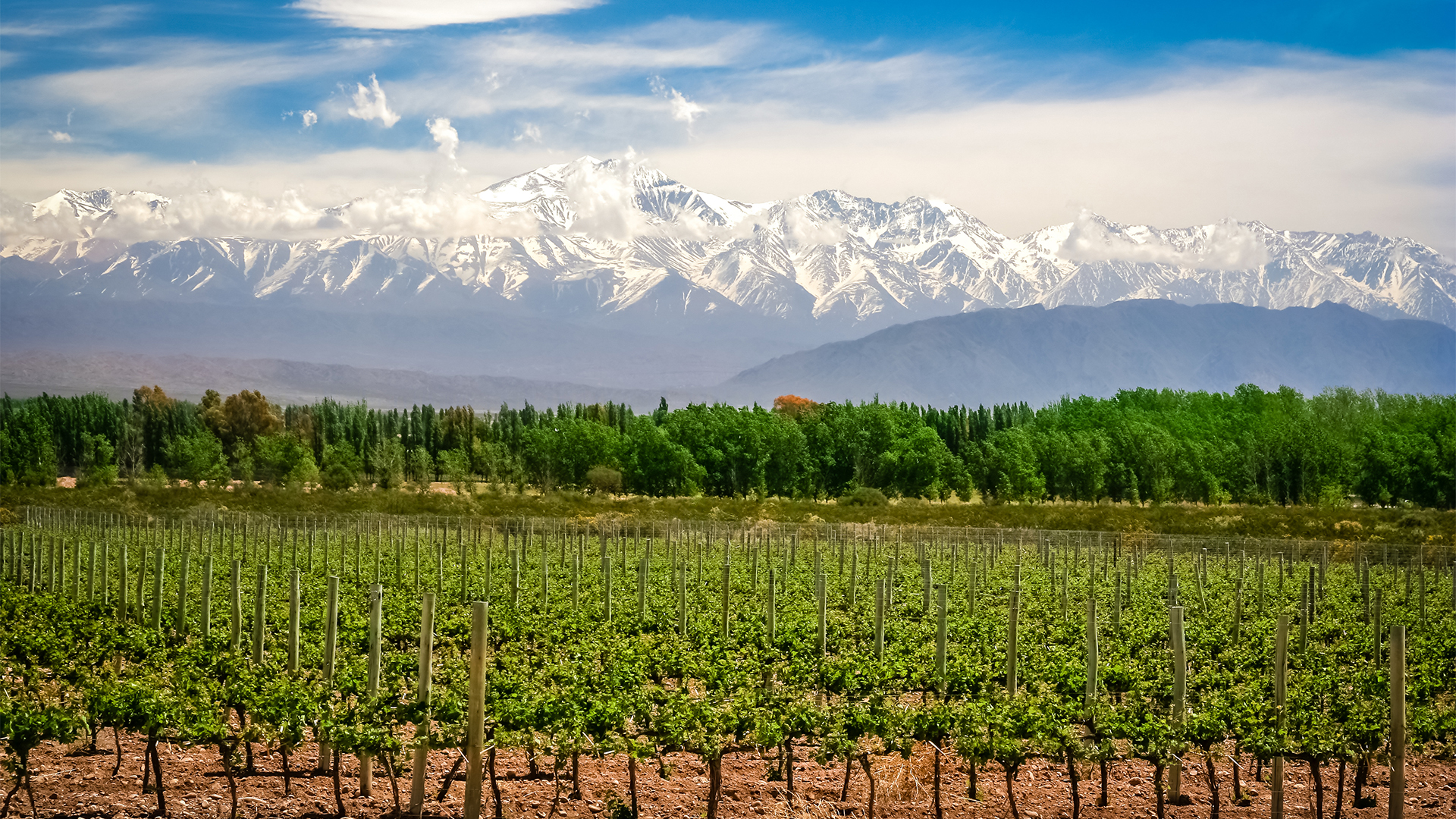 Mendoza-winelands-in-Argentina
