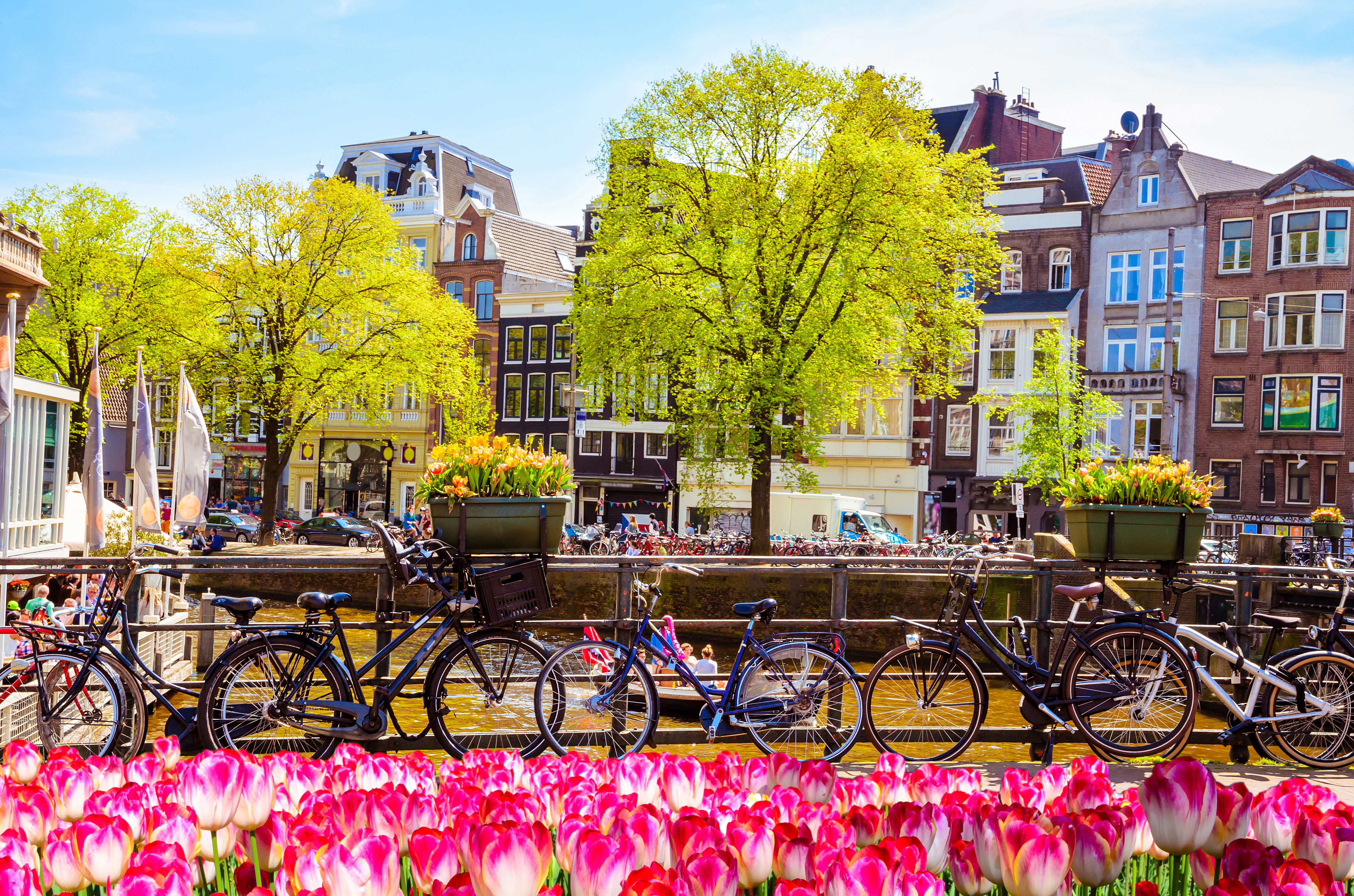 amsterdam-netherlands-canal-with-tulips