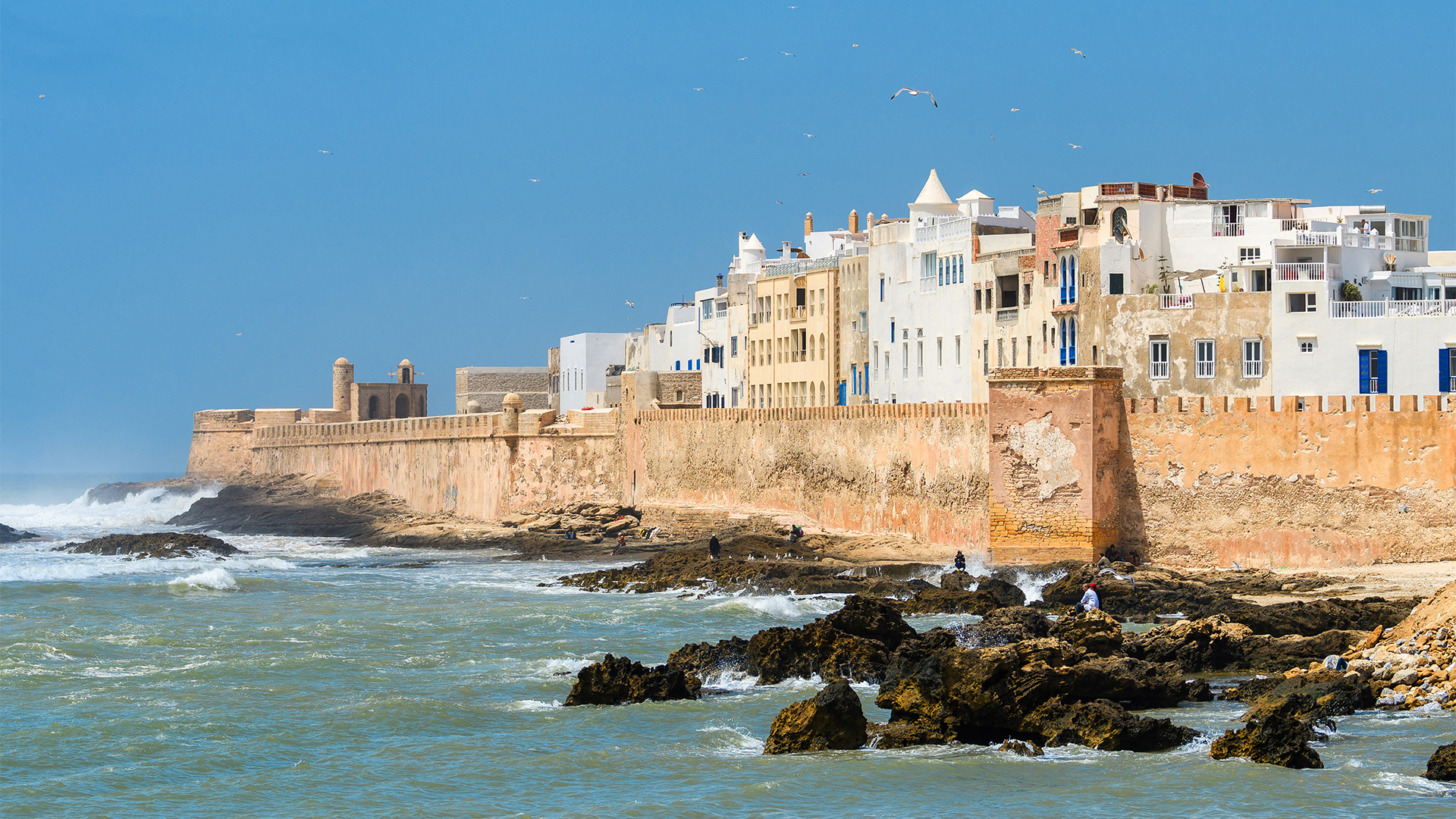 Explore Essaouira
