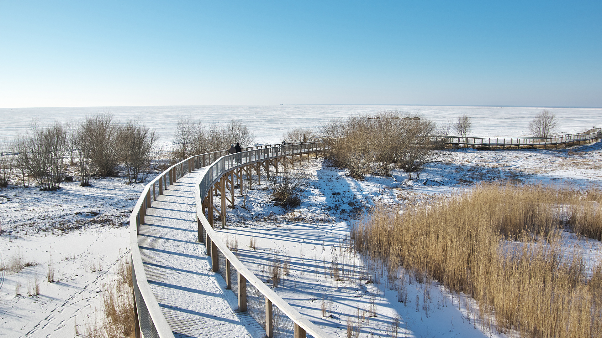 parnu-coastal-town-estonia-winter-swiper-hero-gallery