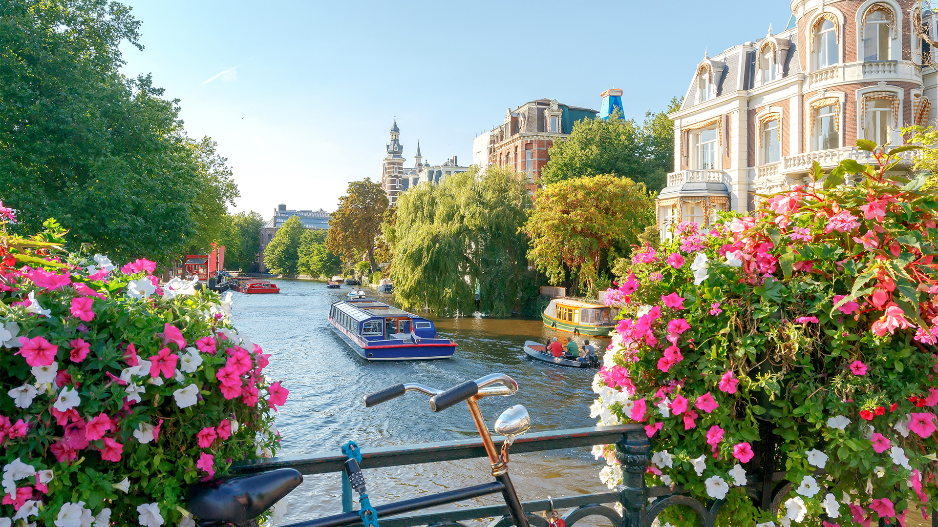Amsterdam-Cruise-flowers-over-the-canal-swiper-hero-gallery