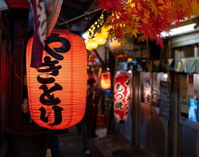 tokyo-plus-japan-optional-excursion