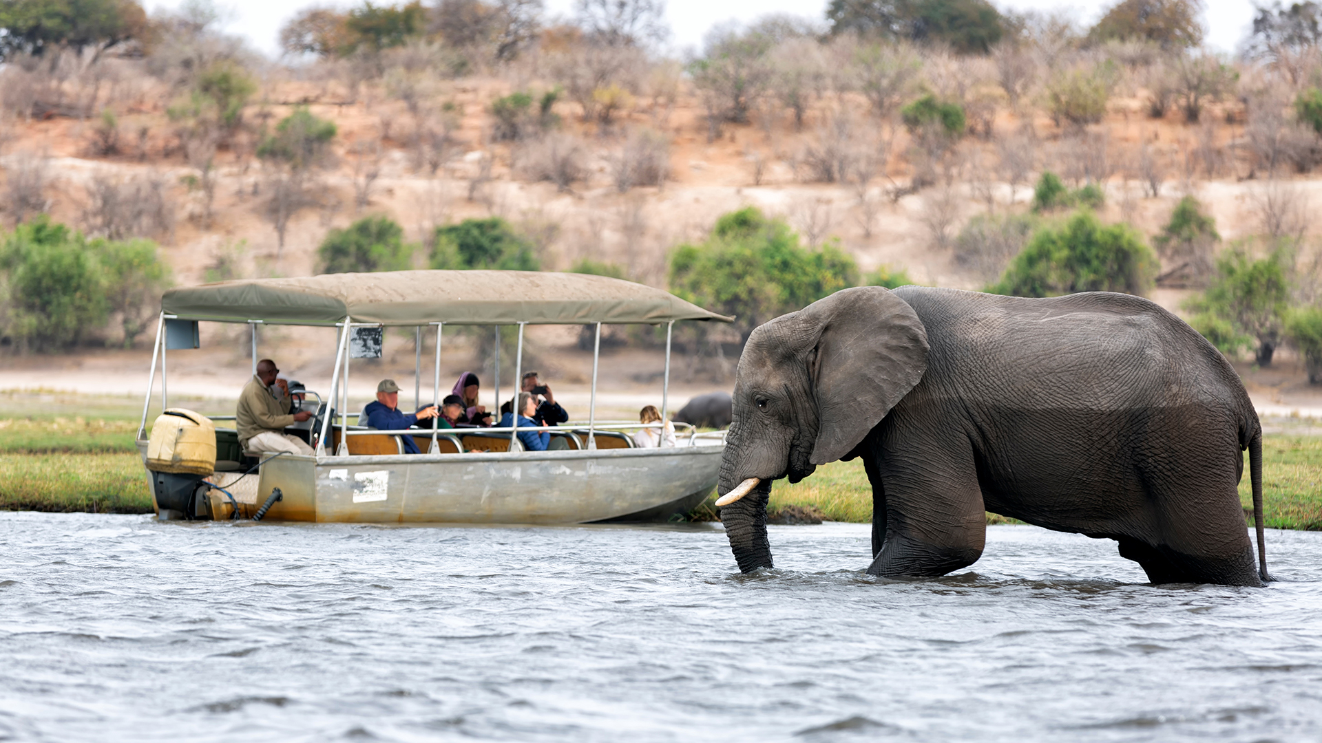 chobe-day-trip-optional-excursion