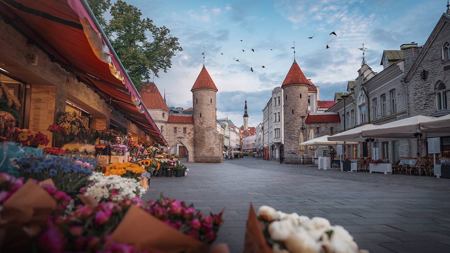 estonia-country-listing-pages-tallinn-old-town
