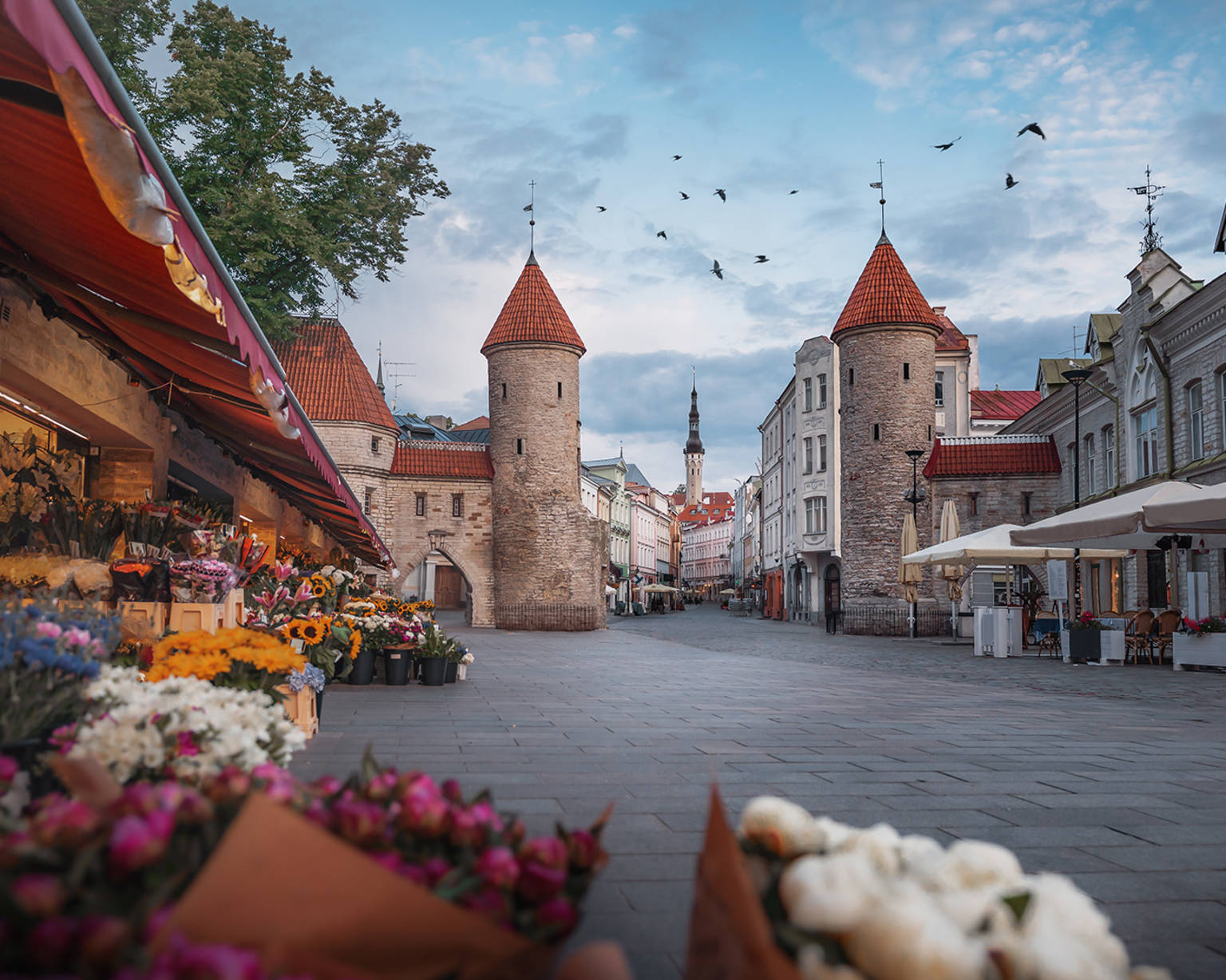 estonia-country-listing-pages-tallinn-old-town