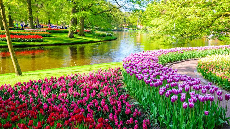 netherlands-country-listing-page-keukenhof