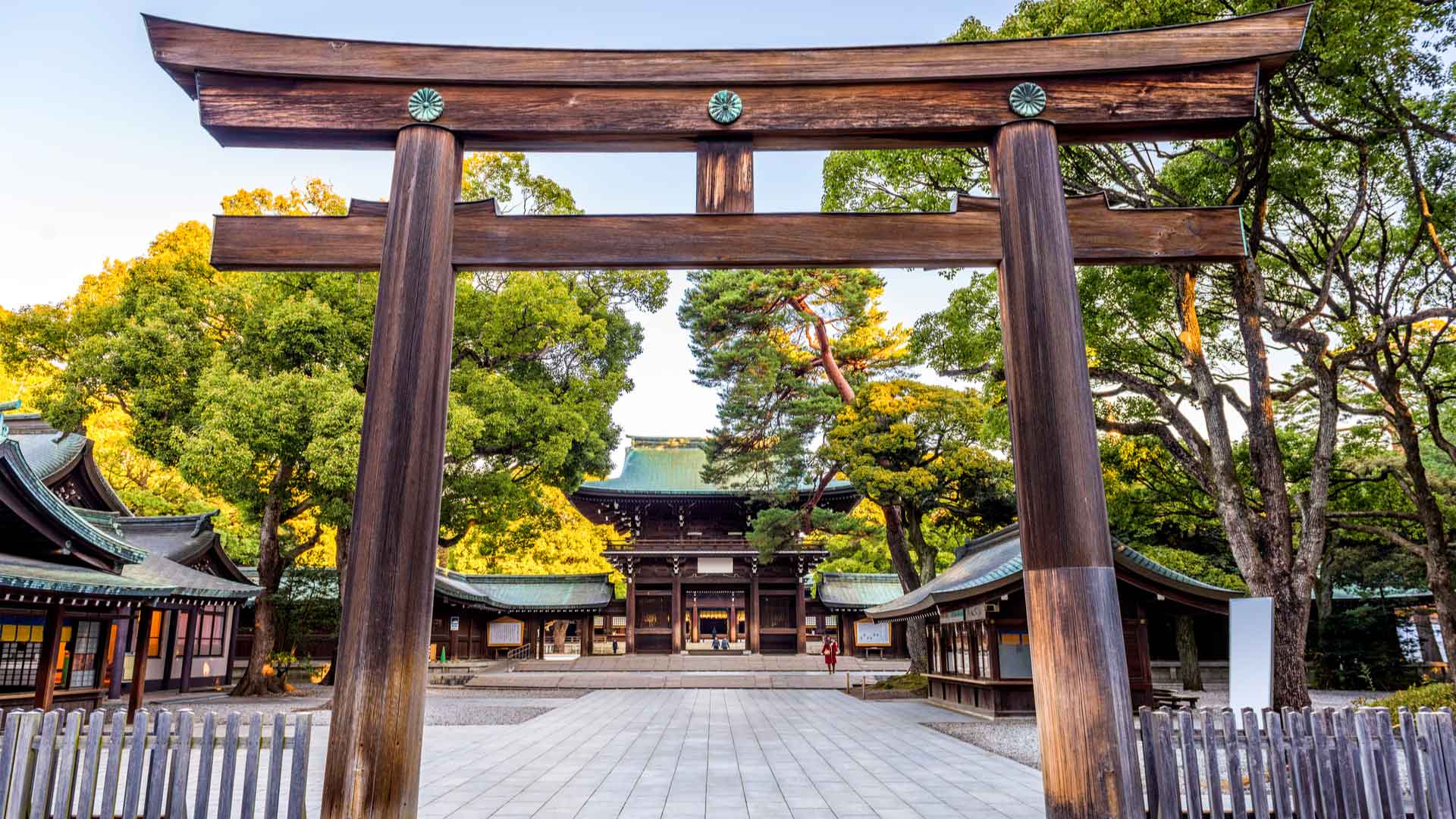 meiji-shrine-in-tokyo-japan