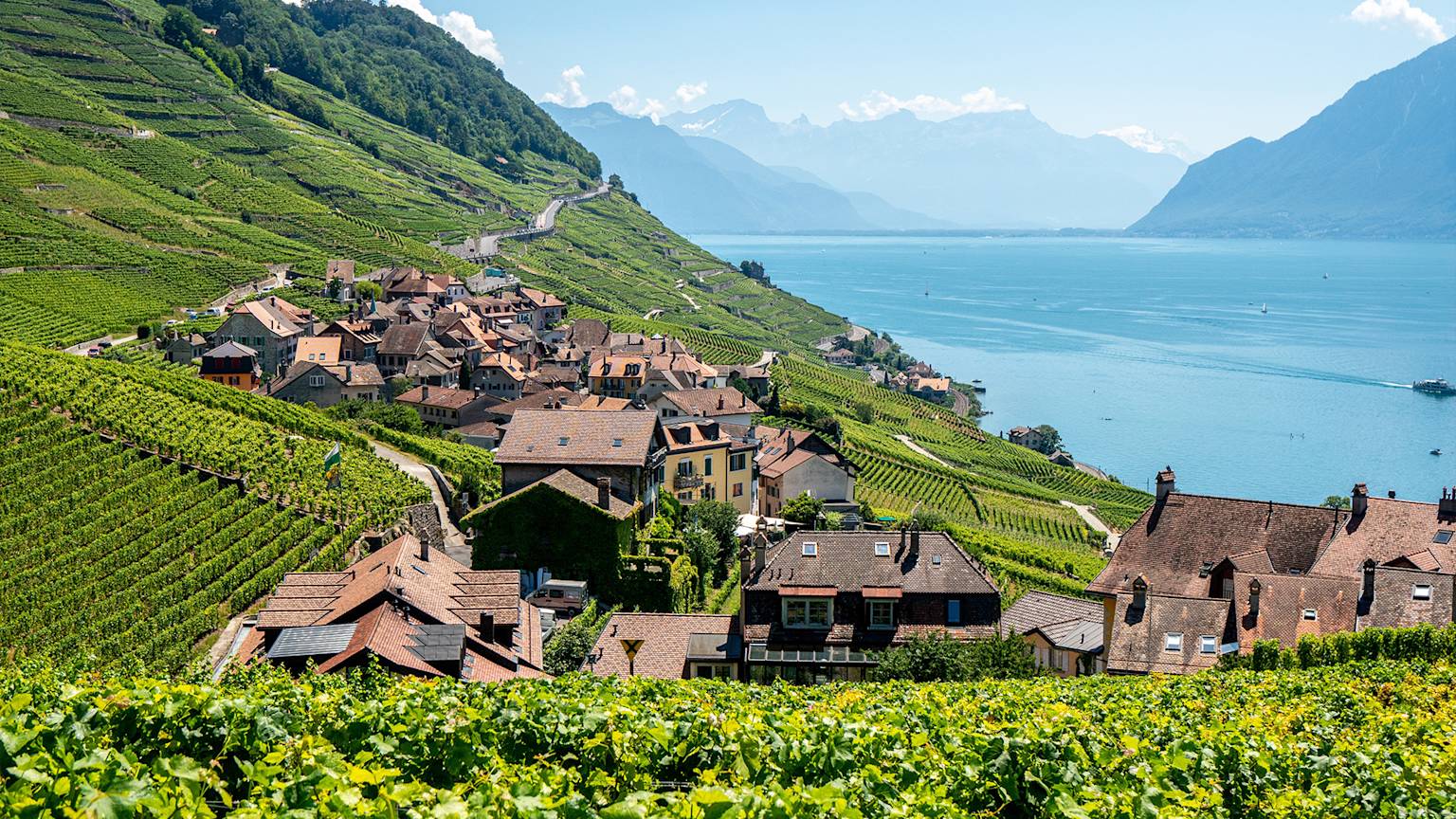 lavaux-vineyards-lake-geneva-switzerland