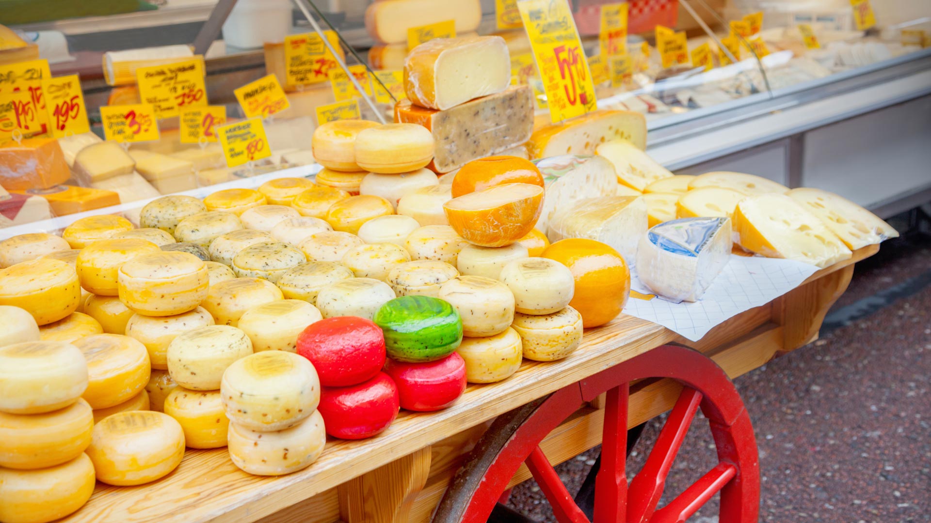 day-21-amsterdam-cheese-making-best-of-europe