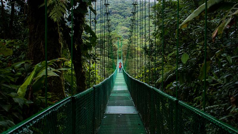 costa-rica-country-listing-page-monteverde-cloud-forest
