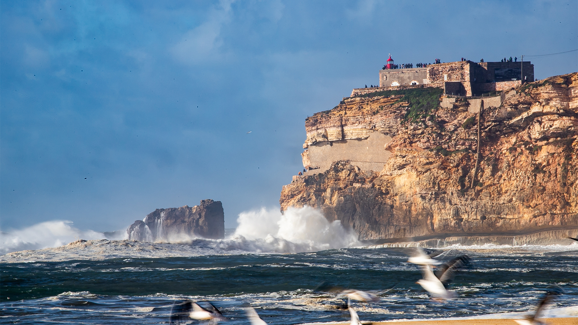 Watch the waves in Nazaré
