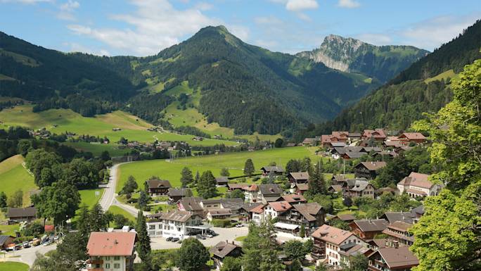 see-the-scenic-château‑d-oex-region-included-experience