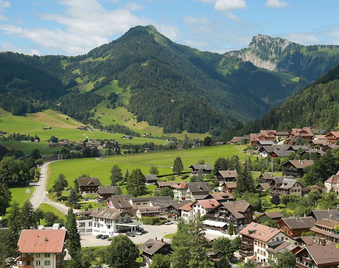 see-the-scenic-château‑d-oex-region-included-experience