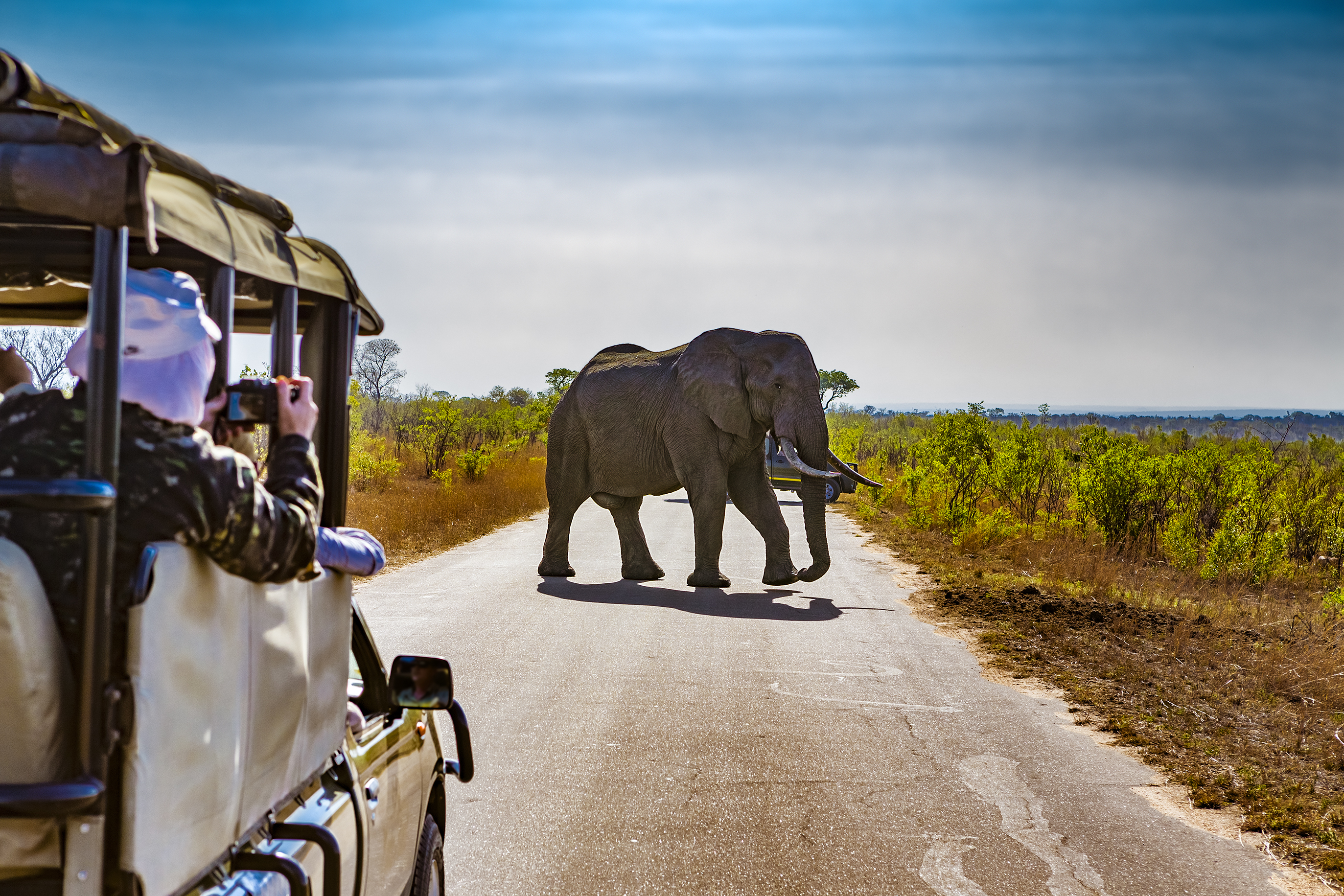 half-day-game-drive-optional-excursion
