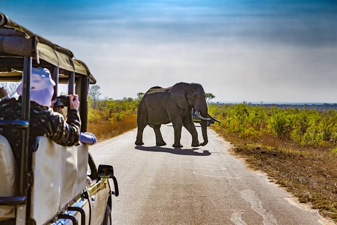 half-day-game-drive-optional-excursion