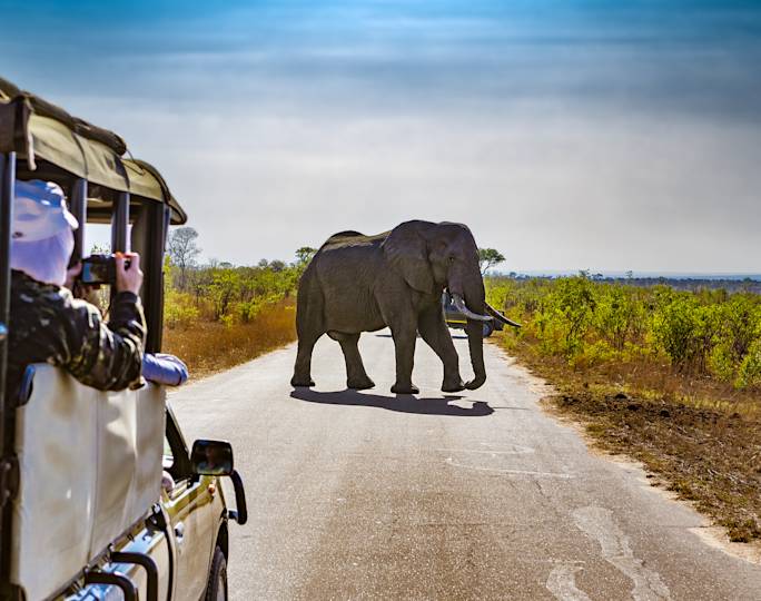 half-day-game-drive-optional-excursion
