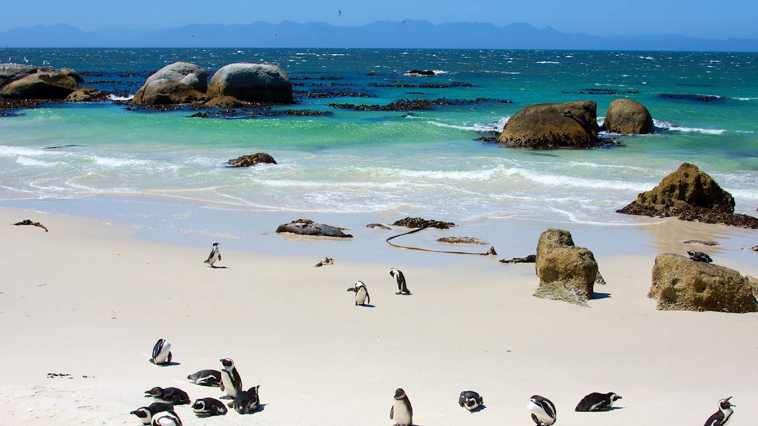 south-africa-country-listing-page-cape-town