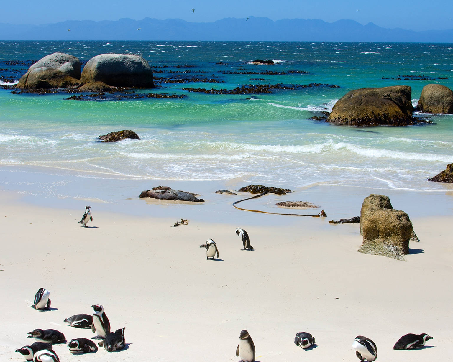 south-africa-country-listing-page-cape-town