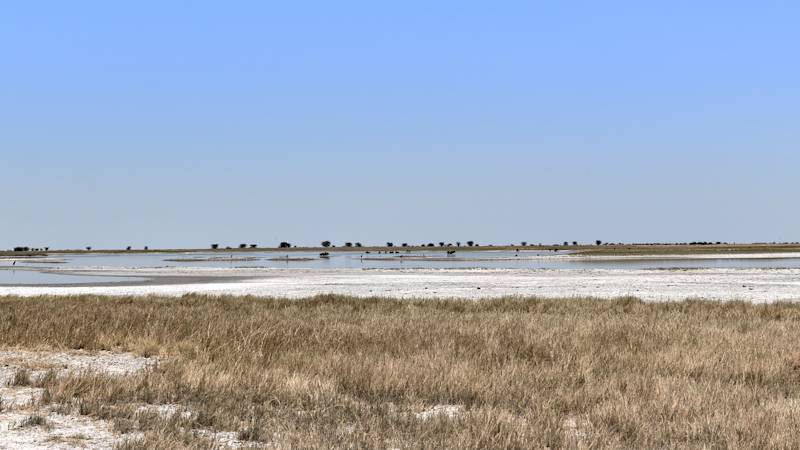 botswana-listing-page-makadikadi-basin