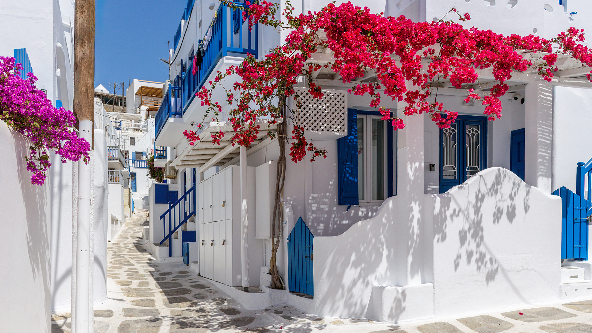 mykonos-greece-street-flowers-swiper-hero-gallery