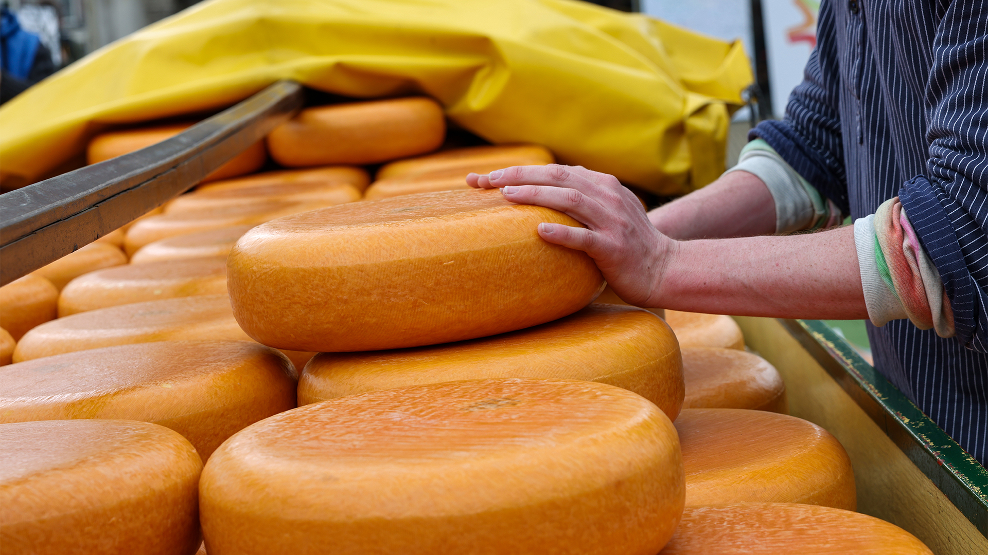 dutch-cheese-gouda-netherlands-swiper-hero-gallery