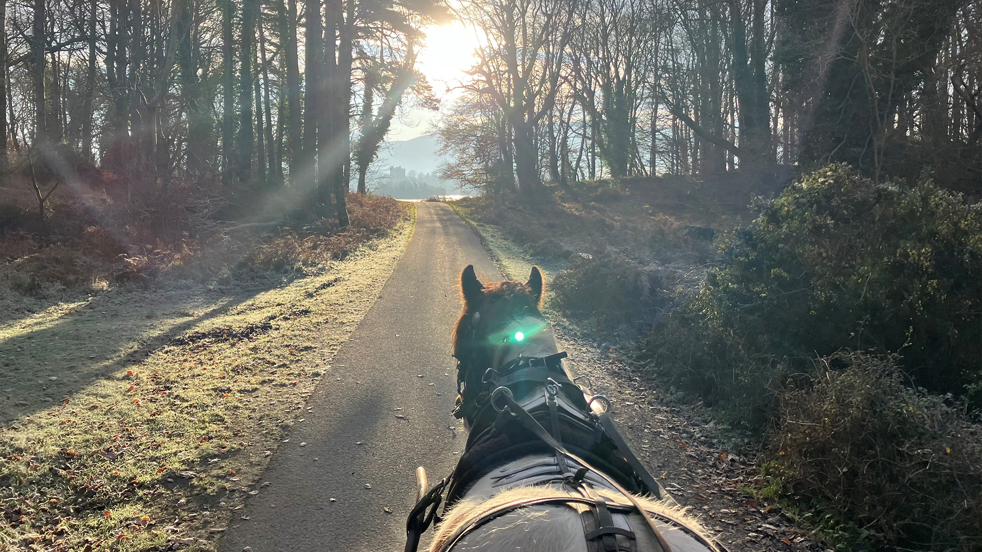 Ring of Kerry Winter Day Trip