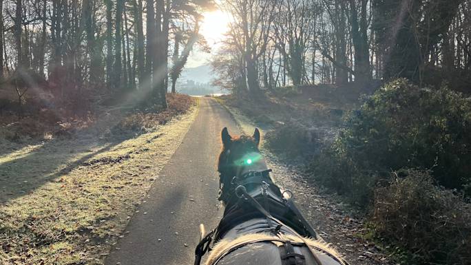 ring-of-kerry-winter-day-trip-optional-excursion