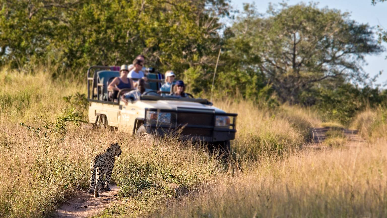 kruger-park-south-africa-leopard-game-drive-swiper-hero-gallery