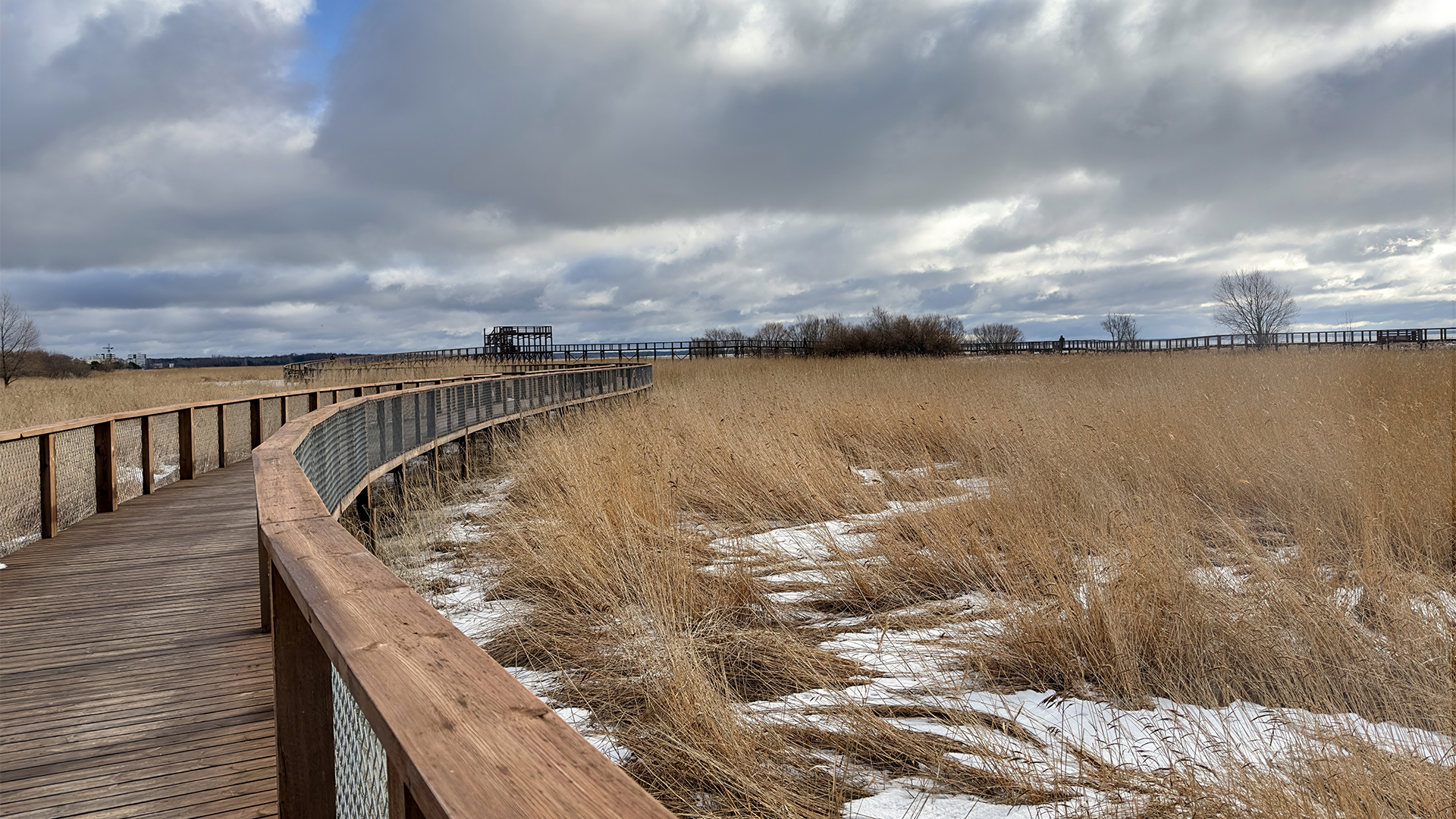 parnu-estonia-winter-beach