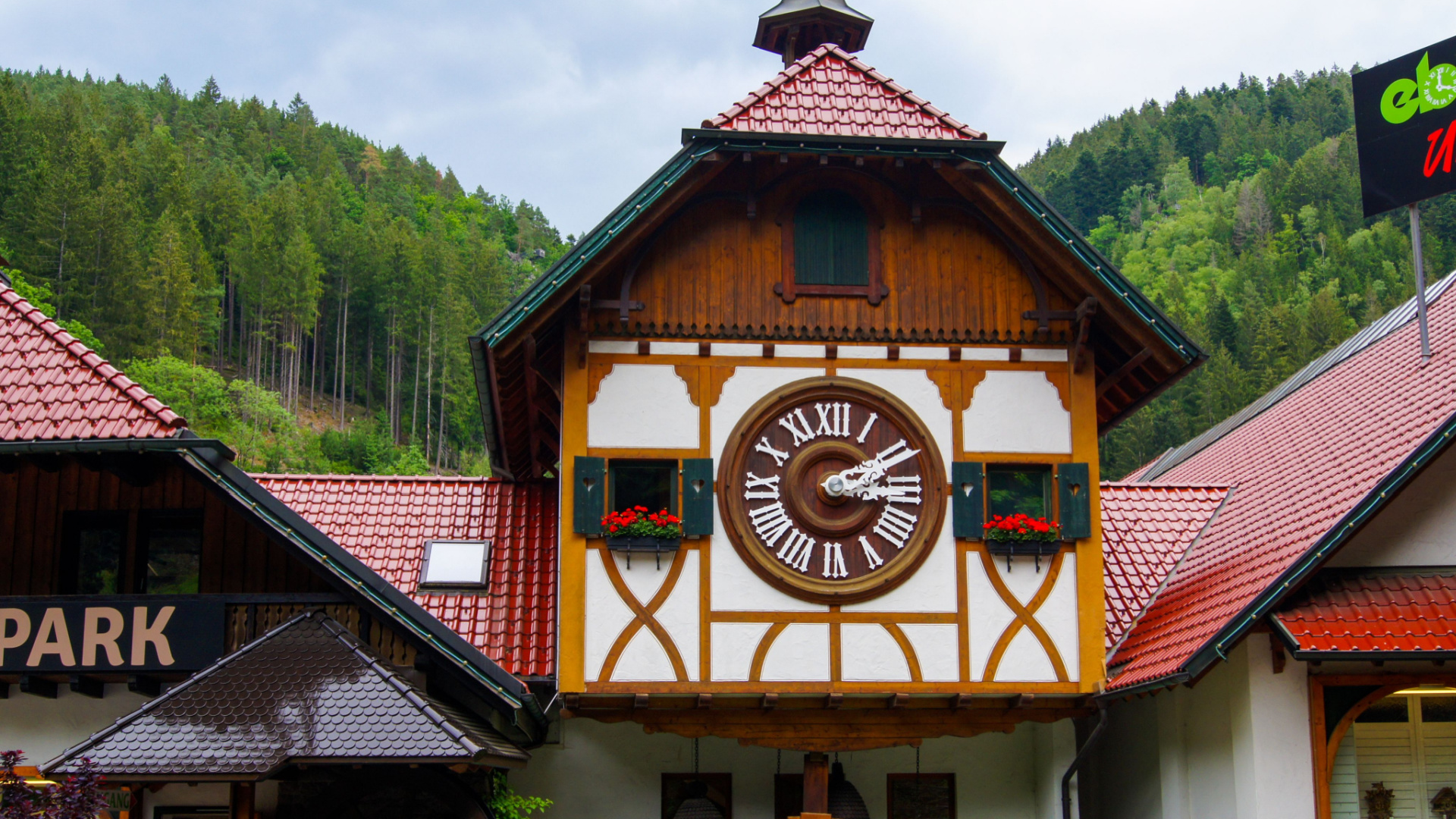 Triberg LargestCuckooClock