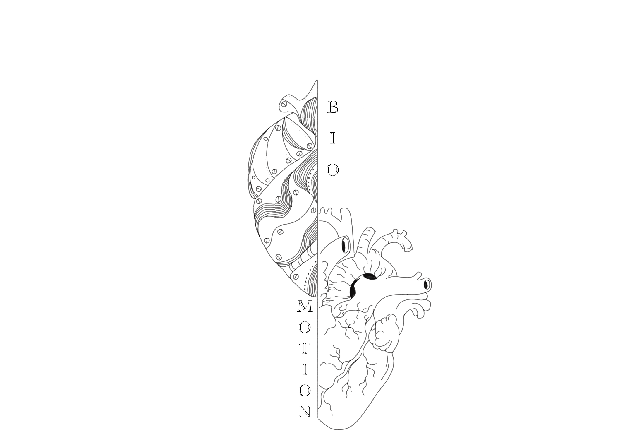 Logo koła naukowego KN BioMotion