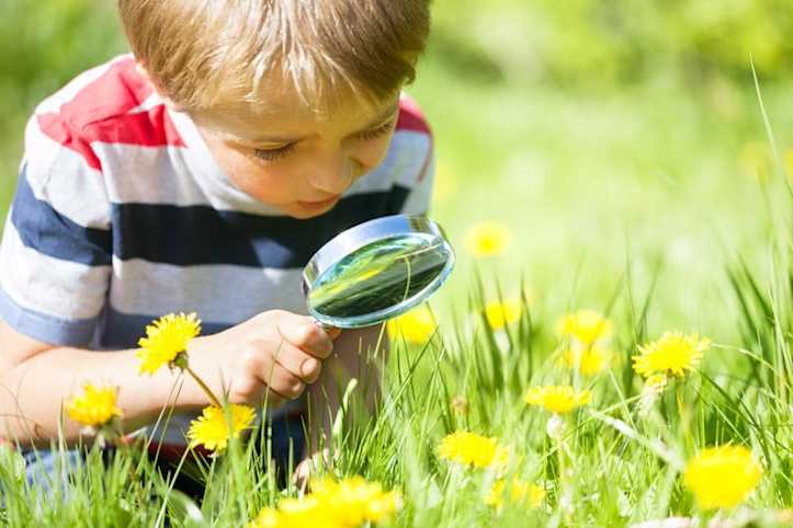 Natuurbeleving bij Ouder&Kind Lokaal Bilthoven