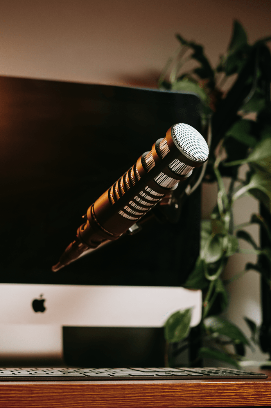 Limelight | Dynamic Vocal XLR Microphone Designed for Podcasting