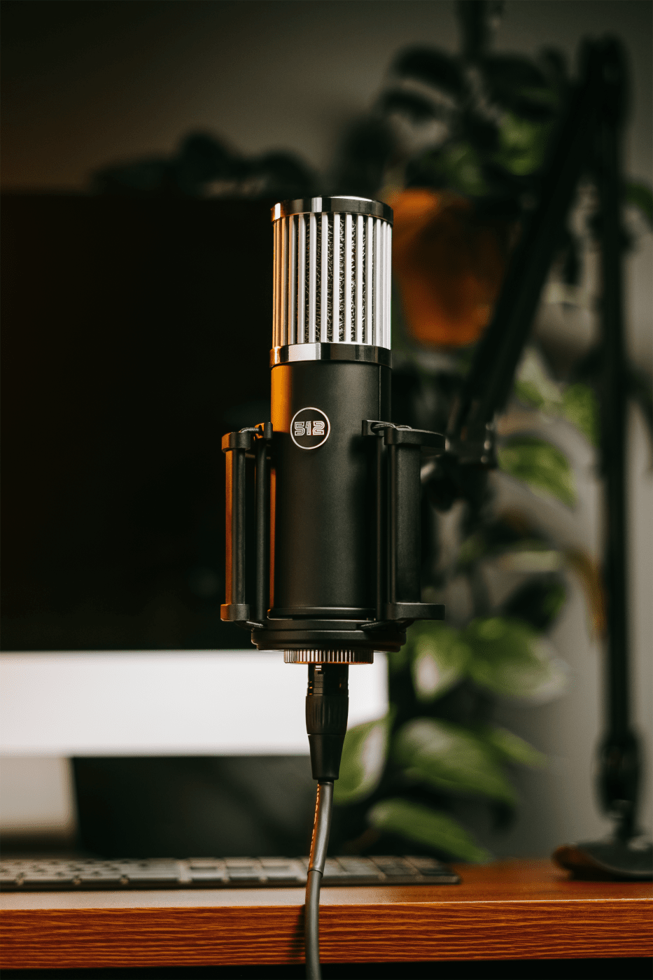 Skylight | Large Diaphragm Studio Condenser XLR Microphone - 512 Audio