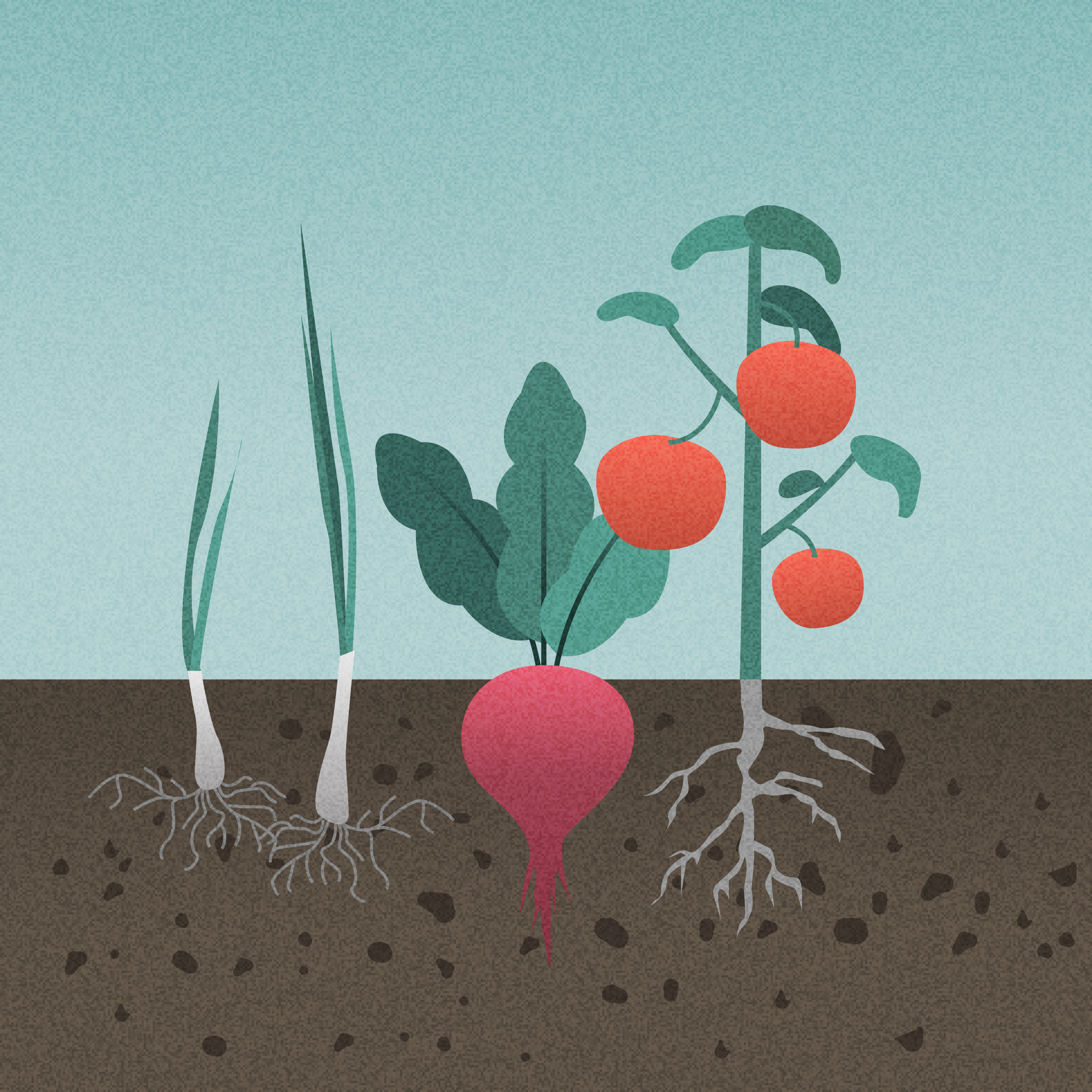 Boer in Natuur illustration healthy food