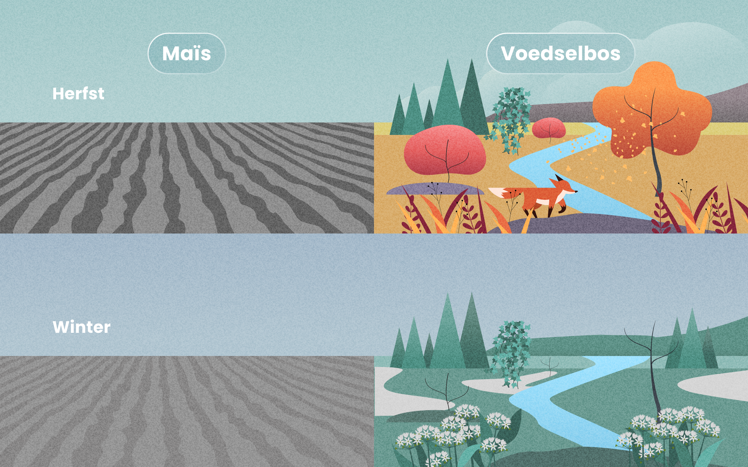 Boer In Natuur autumn and winter