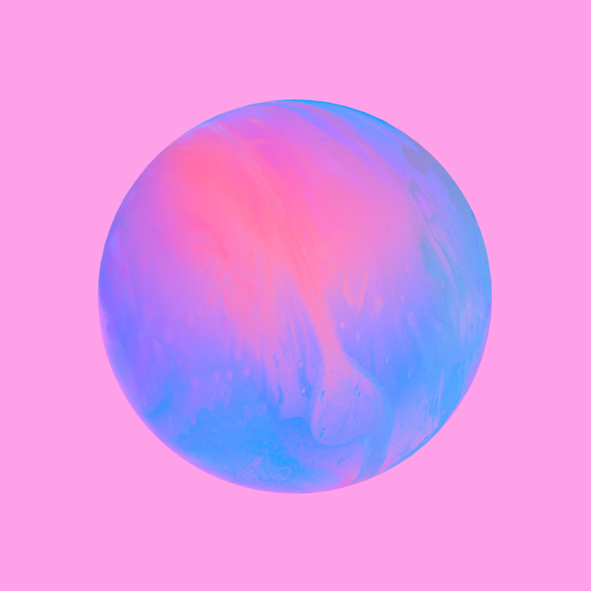 netherlands-top-web-development-ceo-2023