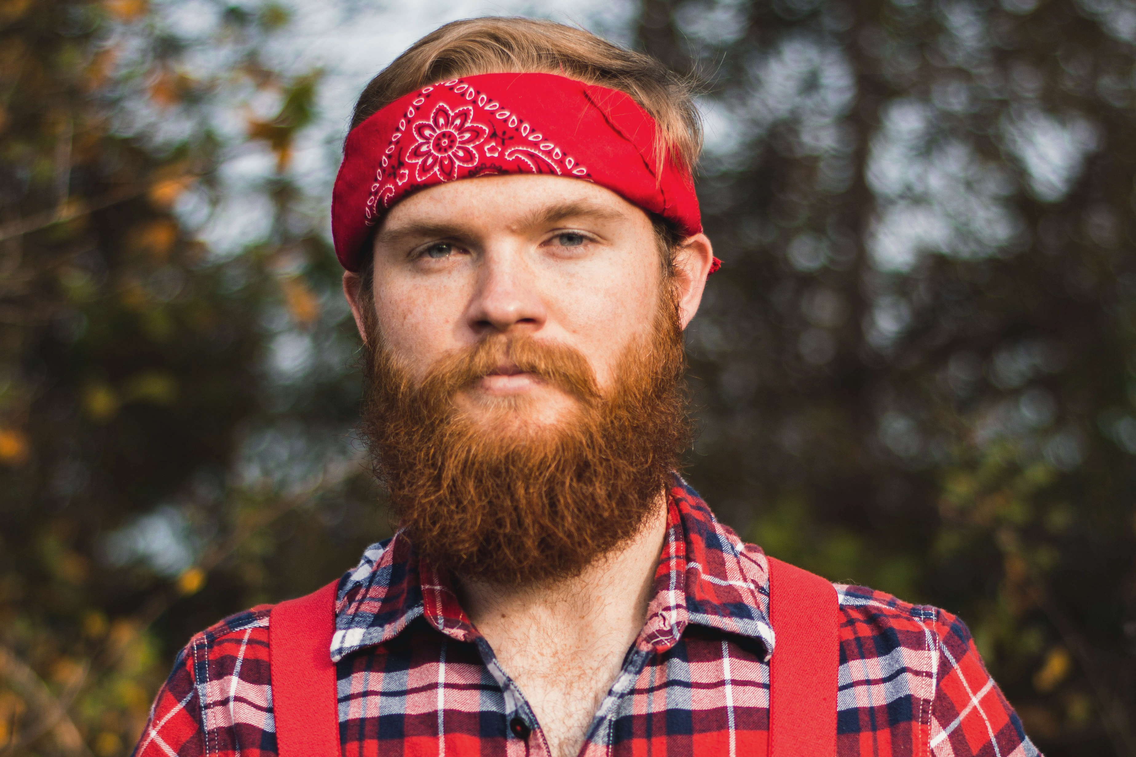 Best Viking Beard To Grow Your Own? • The Beard Struggle