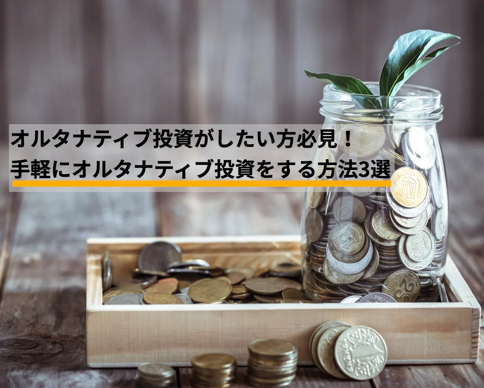 マイナーな投資の種類はありますか？また、初心者におすすめできますか？