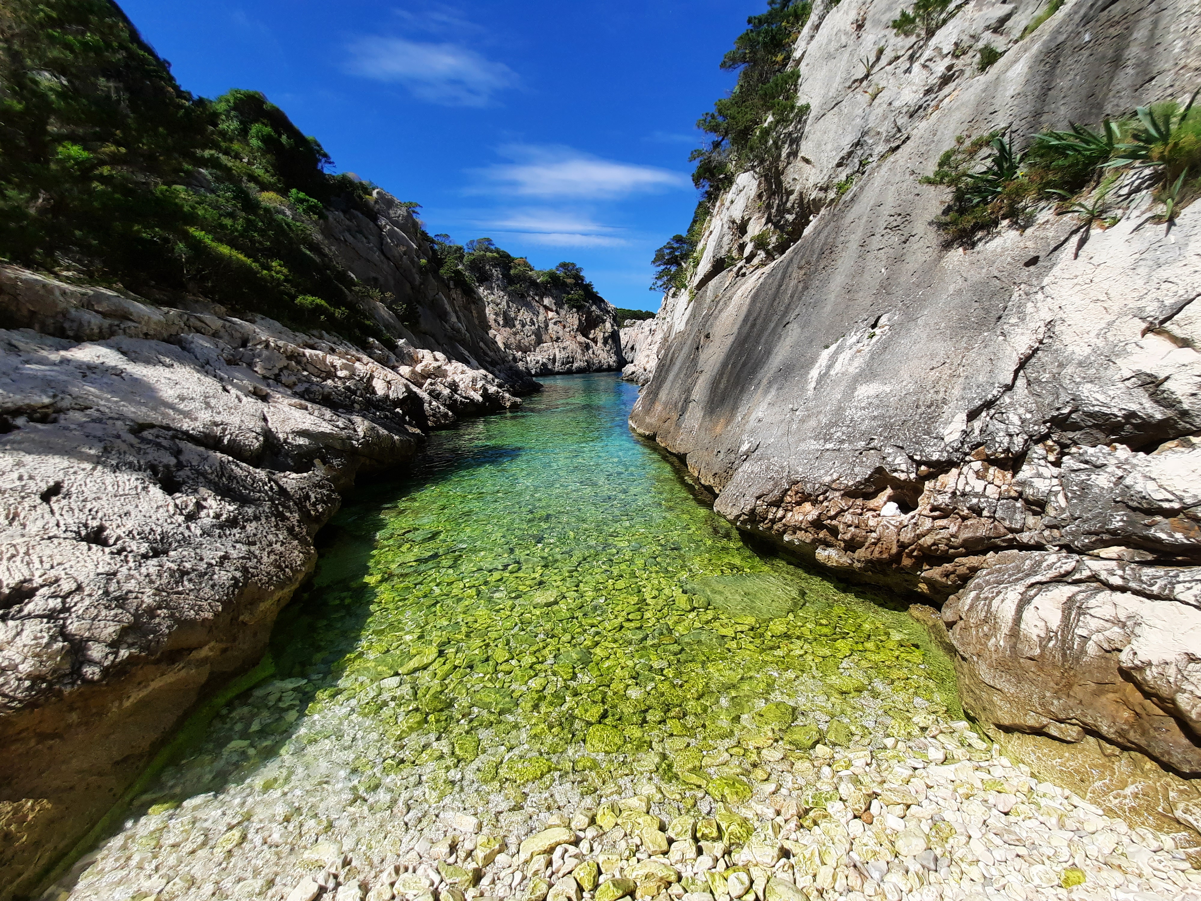 Selvaggio Blu Porto Pedrosu Guida Alpina